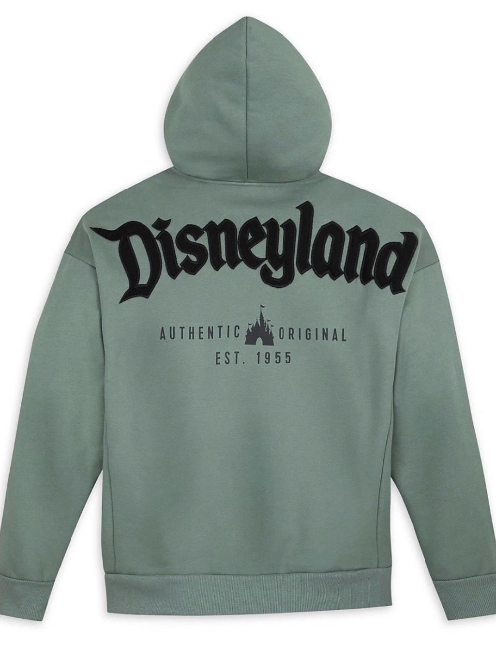 Disney Parks Hoodie